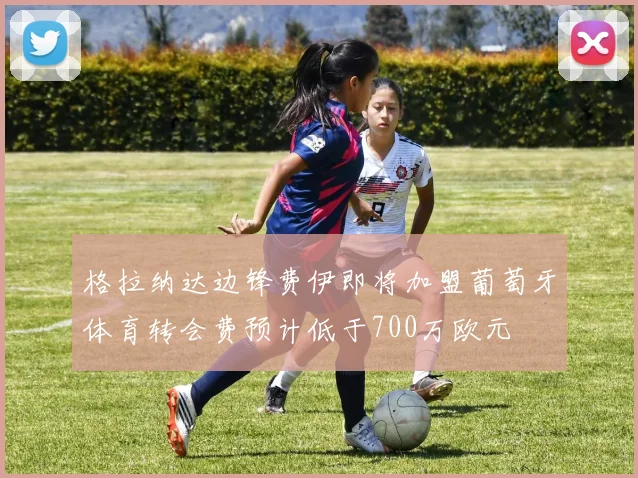 格拉纳达边锋费伊即将加盟葡萄牙体育转会费预计低于700万欧元
