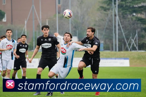 九游j9官方官网APP 高清赛事图